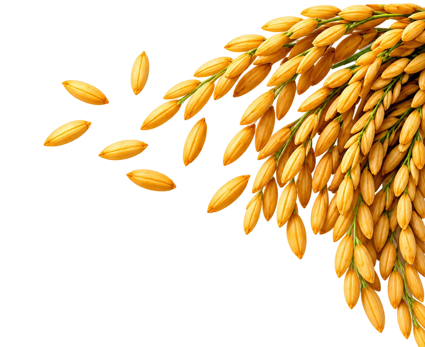 Decorative background